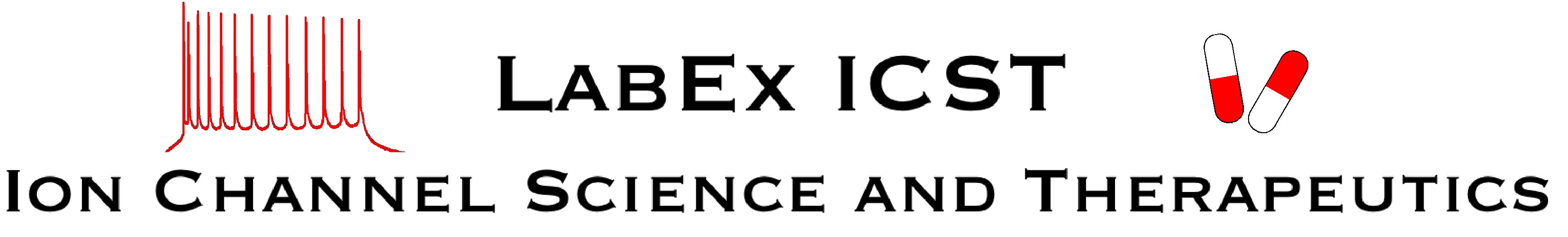 logo_subvention_LabExICST.jpg